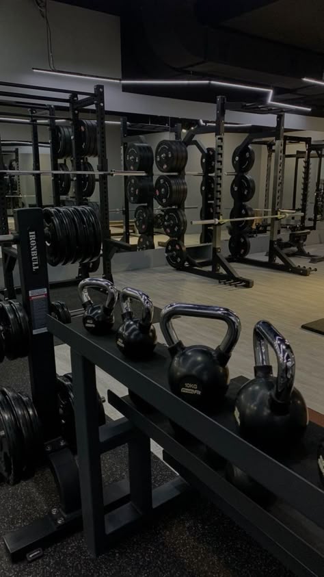 Gym Equipment
